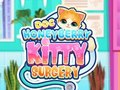 Jwèt Doc HoneyBerry Kitty Operasyon  sou entènèt