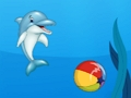 Jwèt Dolphin Montre  sou entènèt