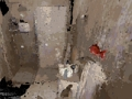 Jwèt Okipe  sou entènèt