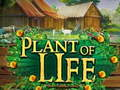 Jwèt Plant nan lavi  sou entènèt