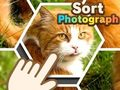 Jwèt Triye Foto  sou entènèt