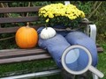 Jwèt Autumn Garden Jwenn 100 papiyon  sou entènèt