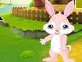 Jwèt Jwenn Buddy Rabbit la  sou entènèt