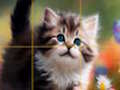 Jwèt Download jwèt la Devinèt glisman ti chat  sou entènèt