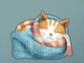 Jwèt Sou entènèt jwèt Adorable chape Jwenn bèl chat  sou entènèt