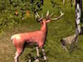 Jwèt Sou entènèt jwèt Stag Hunt  sou entènèt