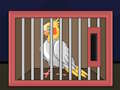 Jwèt Lage zwazo cockatiel la  sou entènèt