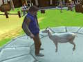 Jwèt Jwèt Fou Goat similatè  sou entènèt