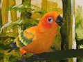 Jwèt Jwèt Cute Budgie devinèt  sou entènèt