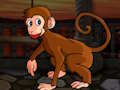 Jwèt Sou entènèt jwèt Diminutive Macaque sove  sou entènèt