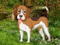 Jwèt Download jwèt la Flower Garden Dog sove  sou entènèt