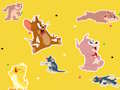 Jwèt Montre Tom ak Jerry Jwenn li!  sou entènèt