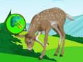 Jwèt Sou entènèt jwèt Deer Meadow chape  sou entènèt