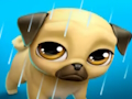 Jwèt Bèt kay Virtual mwen Louie Pug la  sou entènèt
