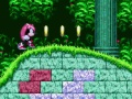Jwèt Mighty & Ray nan Sonic 2  sou entènèt