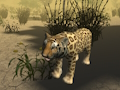 Jwèt Afriken Cheetah Lachas Similatè  sou entènèt