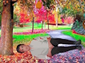 Jwèt Sove Yon Nèg blese  sou entènèt