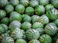 Jwèt Jwèt Tèt melon  sou entènèt