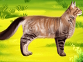 Jwèt Chat bèt kay doktè dantis  sou entènèt