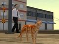 Jwèt Jwèt Cat City similatè  sou entènèt