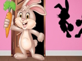 Jwèt Jwenn Bunny Hopkin la  sou entènèt