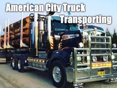 Jwèt Ameriken City kamyon transpò  sou entènèt