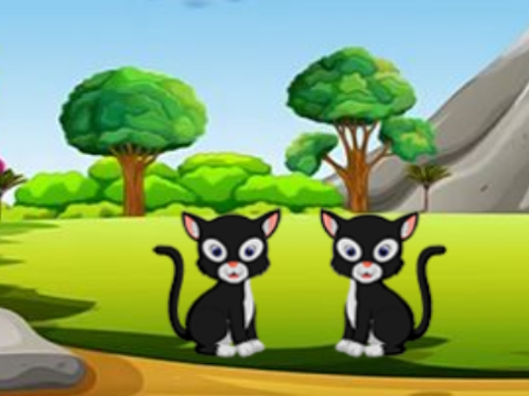Jwèt Paws nan sekou  sou entènèt