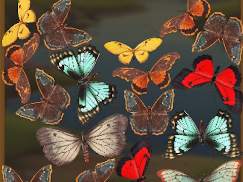 Jwèt Mergebuterfly: 2048! sou entènèt