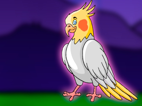 Jwèt Lage zwazo a cockatiel soti nan kaj  sou entènèt