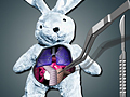Jwèt Sove Bunny la  sou entènèt