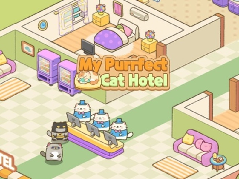 Jwèt Otèl chat purrfect mwen an sou entènèt