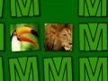 Jwèt Memera  sou entènèt