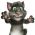 Pale Tom Cat sou entènèt